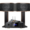 山水（SANSUI）FK-101 家用电视客厅音响套装 大音箱 【推荐】FK101三分频10单元+功放+话筒+2T