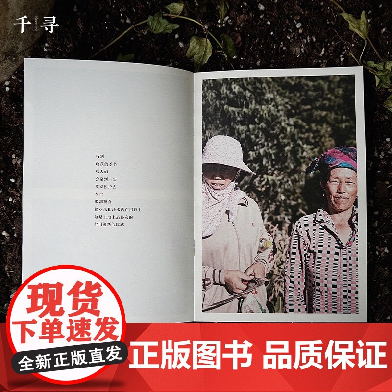 千寻艺术 自然的孩子 11-14岁 莫西子诗 著 儿童文学高清大图