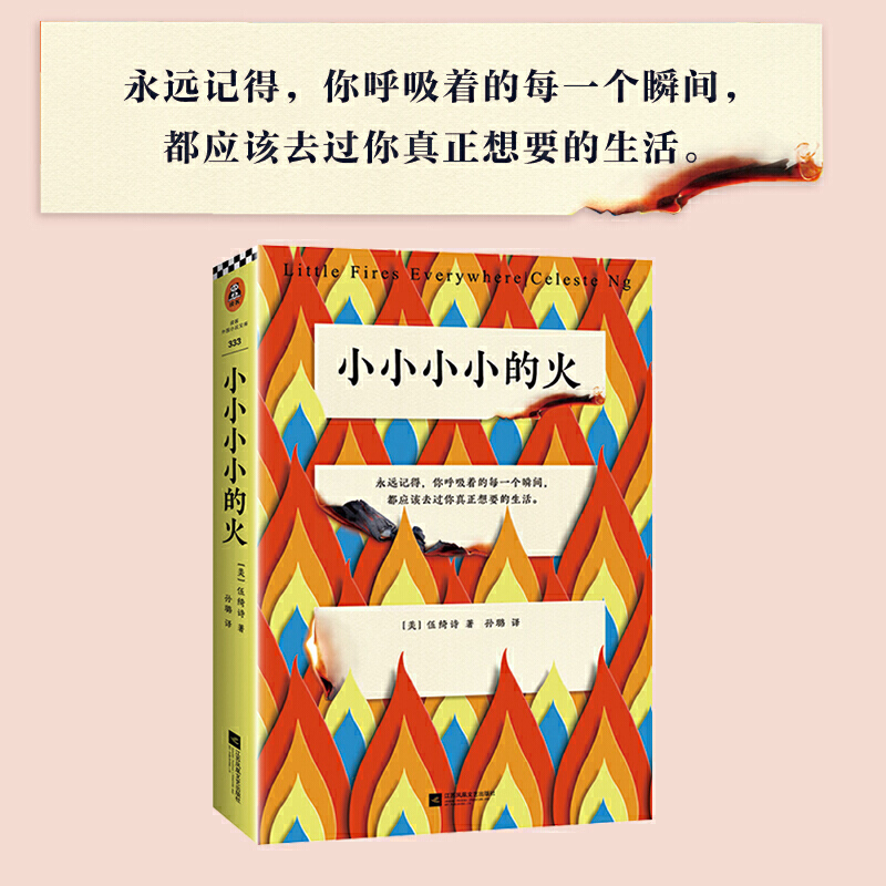 [正版]小小小小的火 伍绮诗著 家庭亲情成长励志亲子关系家庭教育社会生活长篇小说 外国文学情感治愈系作品集 无声告白
