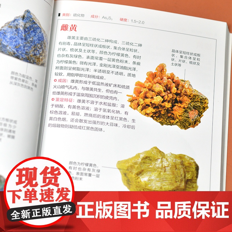 矿物与岩石图鉴 全新图解版高清大图