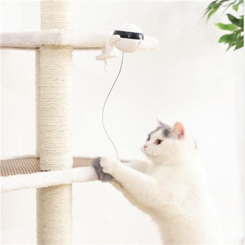 配件(一根绳子+毛球)颜色随机 自动逗猫器电动玩具猫玩具电动升降球逗猫棒猫咪神器自嗨宠物用品