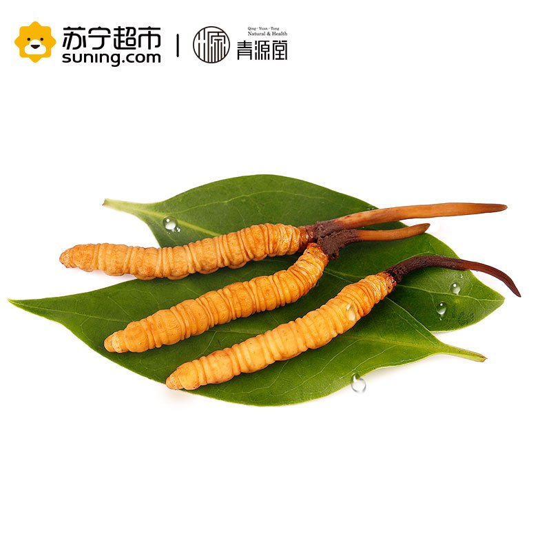 青源堂 冬虫夏草 0.7克/条 40条装28克 新鲜冬虫夏草青海玉树高海拔雪山虫草正品 可泡酒泡水