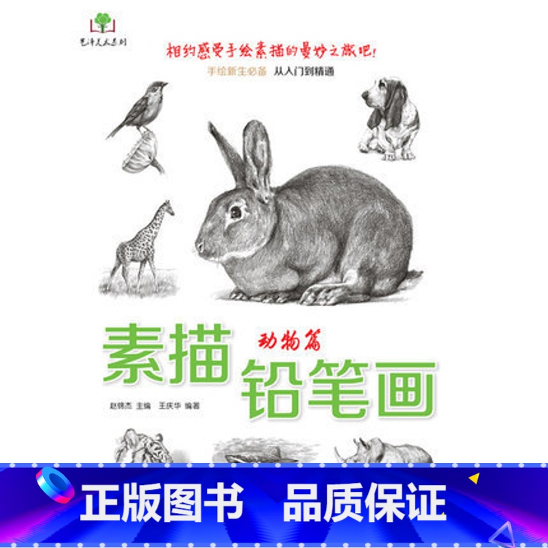 [正版]素描铅笔画动物篇 艺泽美术系列 手绘新手从入门到精通 举高清大图