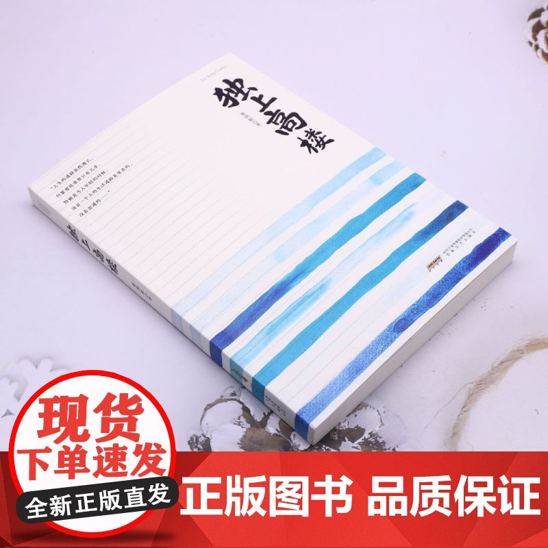 [余杭新华正版]独上高楼 姜琍敏著 小说