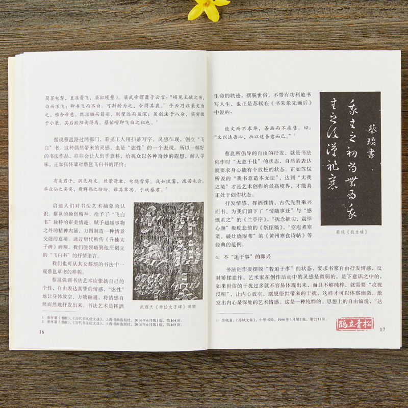 [正版]汉 蔡邕 笔论 九势 解析与图文互证 中国历代书法理论研究丛书 汉字书法理论书籍毛笔书法发展史书法书籍读物 中高清大图