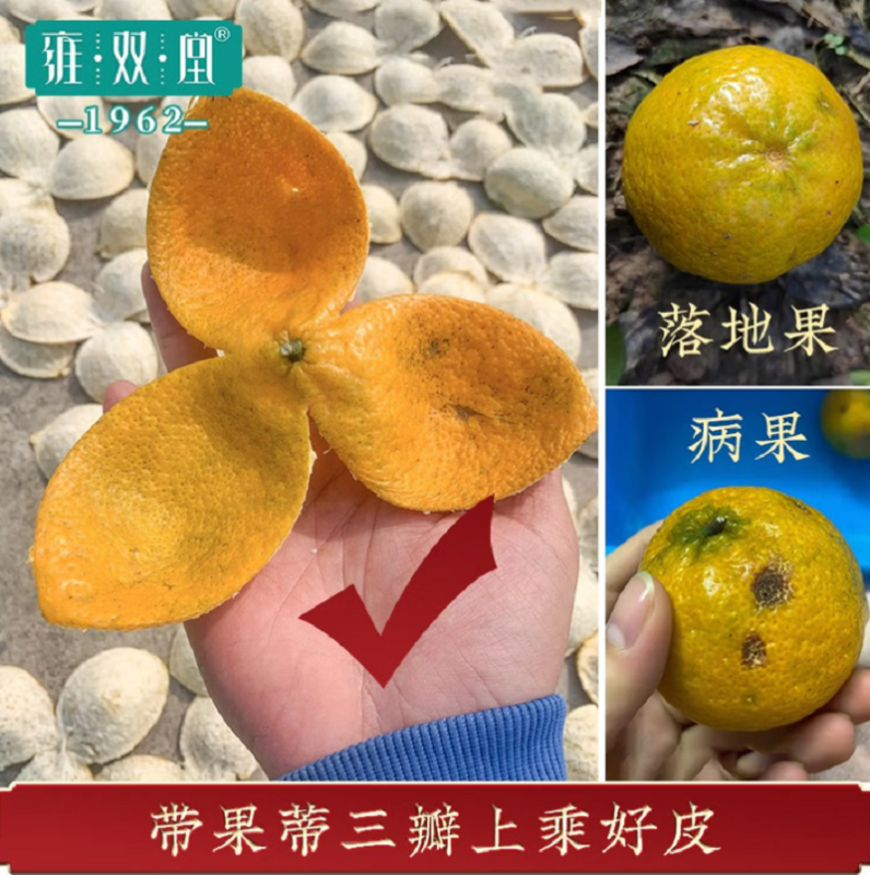 雍双堂 中国色故宫美文创礼盒 十三年陈皮礼盒国潮玻璃罐礼盒装 90g 国韵陈香 ZGS-5021.高清大图