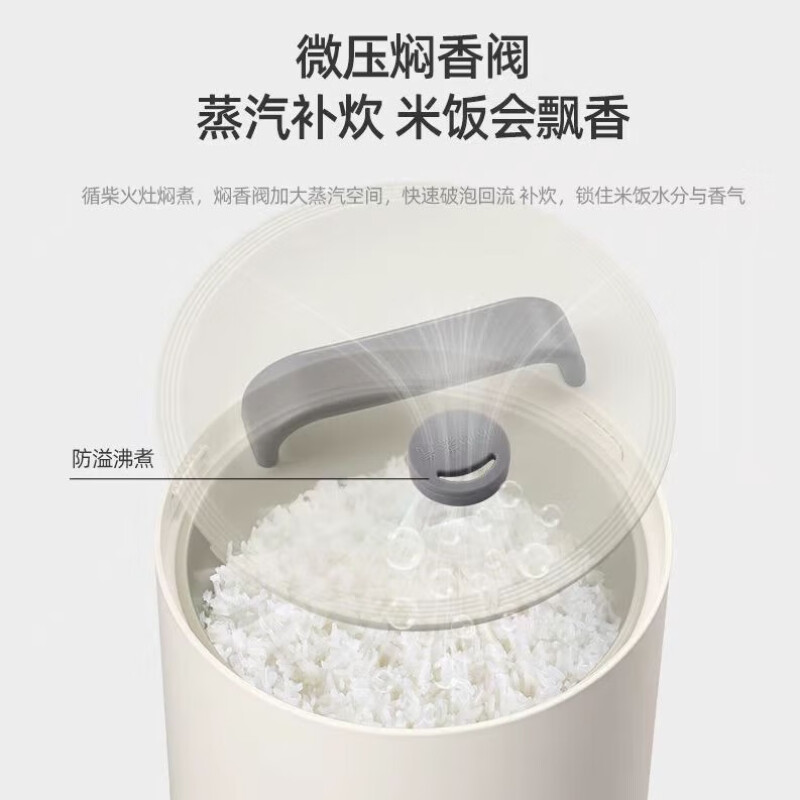 艾美特(Airmate) 多功能钛电饭煲 CF2005 2L高清大图