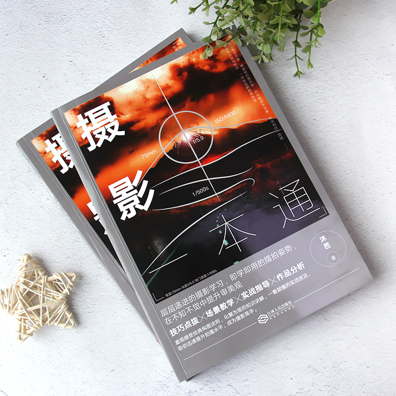 [醉染正版]全2册 摄影一本通 手机摄影从入门到精通摄影入门拍照用光与构图技巧人物儿童自然风景旅游等零基础初学摄影入门基高清大图