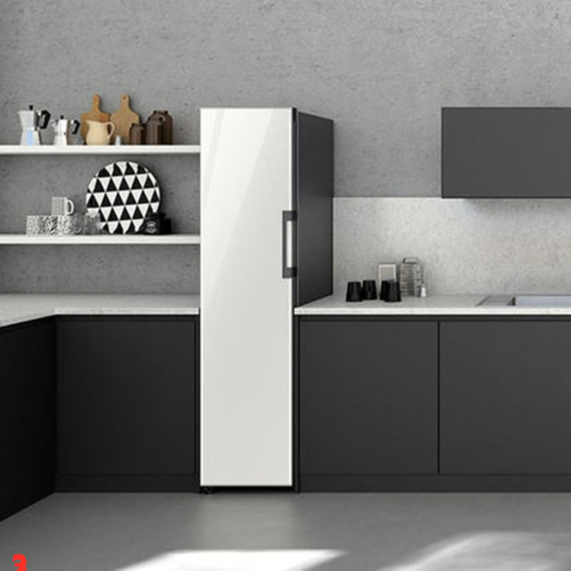 三星(SAMSUNG)单门冰箱高清大图