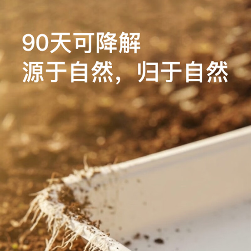 贤内厨 CJ-06 可降解一次性餐盒饭盒汤碗饭碗打包盒 方形餐盒650ML 100套高清大图