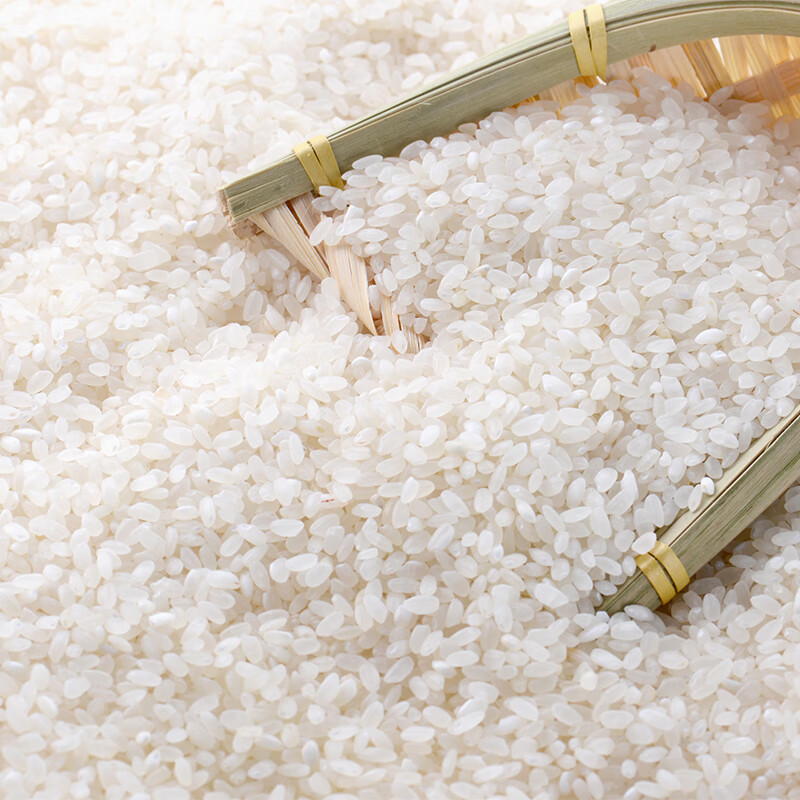 咪然 梗米一级长粒香鲜米 5kg(单位:袋)真空包装高清大图