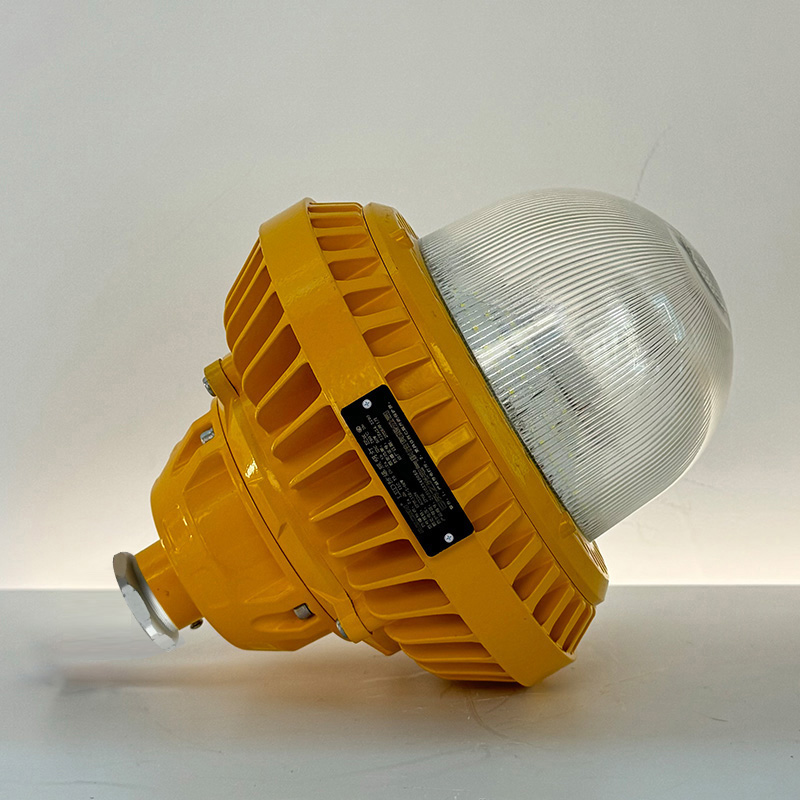 RECEN RFBL158-I-50W LED防爆照明灯 个高清大图