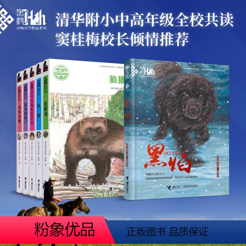 [正版]接力出版社黑鹤动物文学精品系列 套装全6册 黑狗哈拉诺亥+狼谷的孩子+黄昏夜鹰+狼獾河+血驹+黑焰 中小学生课
