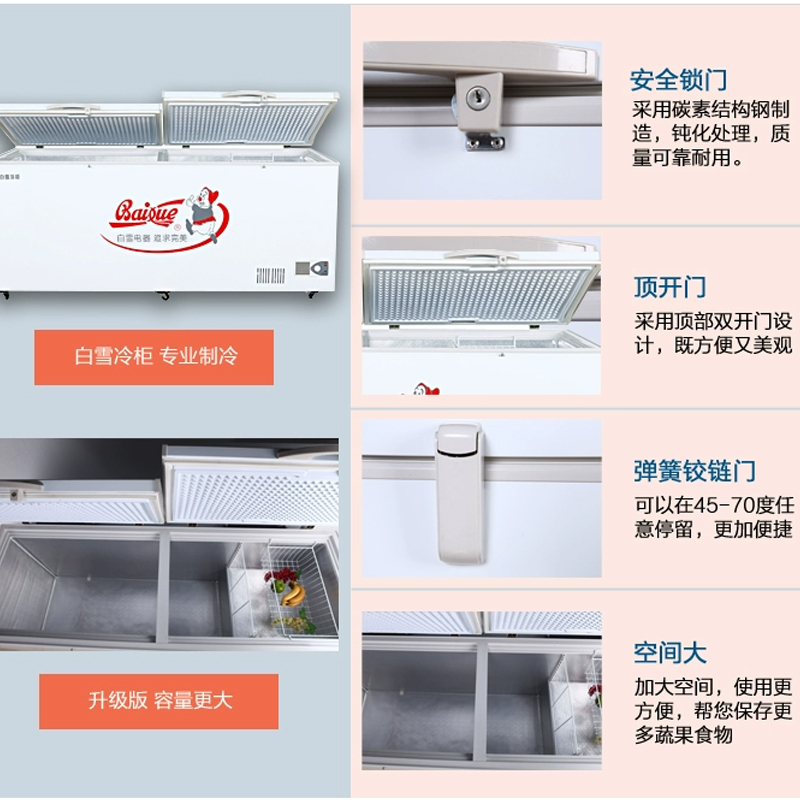 白雪(Baixue)778升BD/C-778FDS大型商用 冰柜 大冷柜 茶叶柜 海鲜柜
