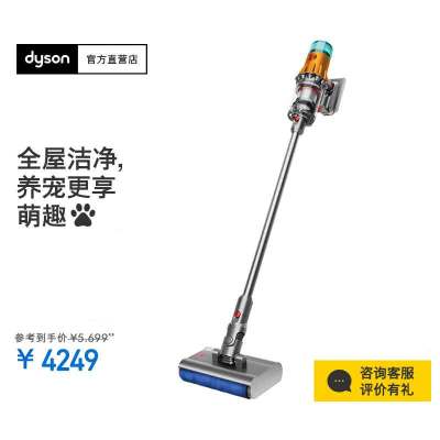 戴森（Dyson）洗地吸尘器V12 detect slim nautik 443108-01
