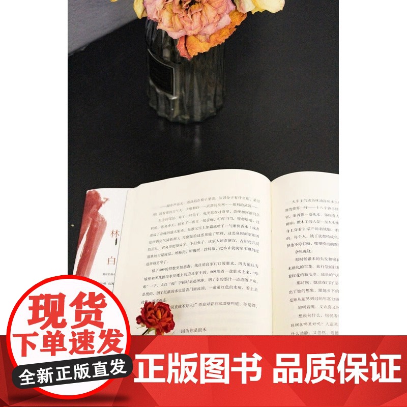 北去来辞 林白 著 林白代表作十周年纪念版 第九届茅盾文学奖提名奖 陈思和 张新颖 张莉 项静诚挚 中国当代小说高清大图