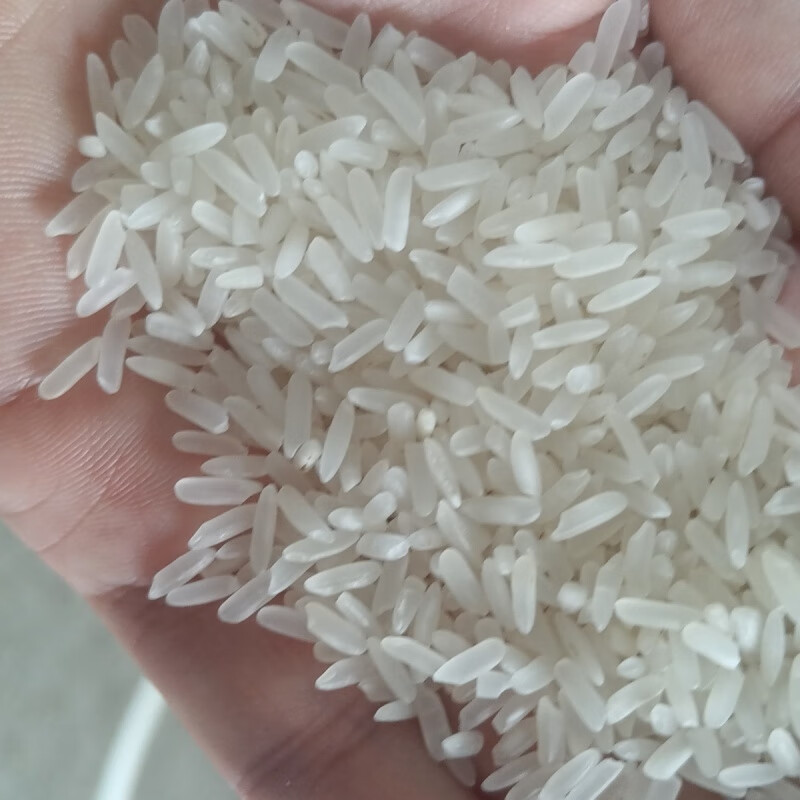 桂企乐 丝苗米 25kg 单位:袋(限定南宁)