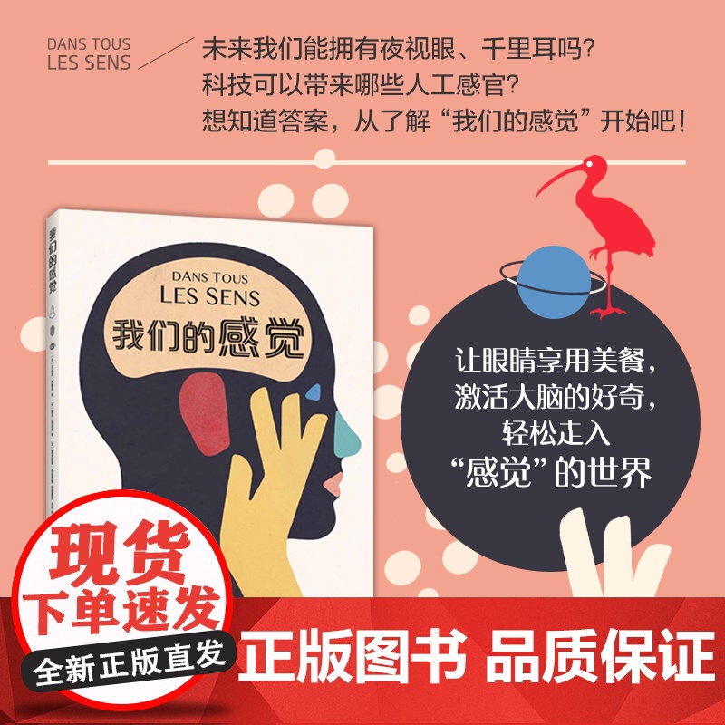 []我们的感觉 人文科普 女巫奖作品大奖作品 小学生适读 儿童科普 认识自己、社会 人体知识 超大开本 爱心树高清大图