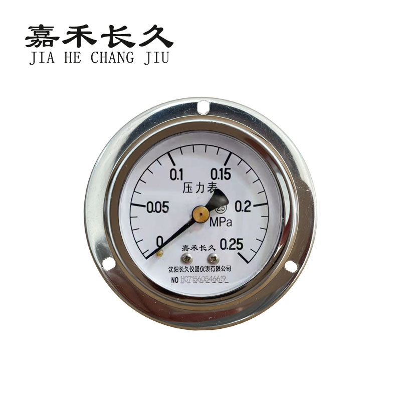 嘉禾长久 轴向带边压力表检测型 Y60ZT 块 0-0.25MPA