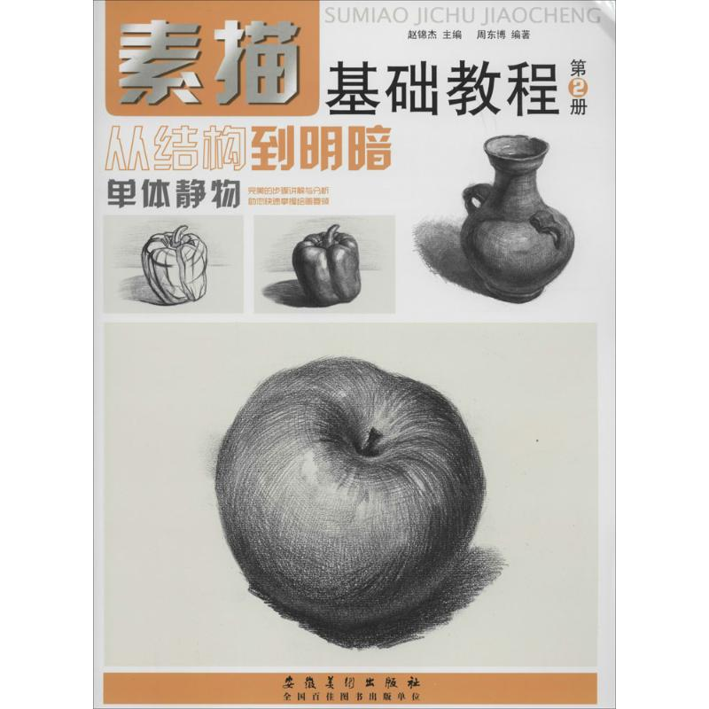 [M]素描基础教程-9787539849546高清大图