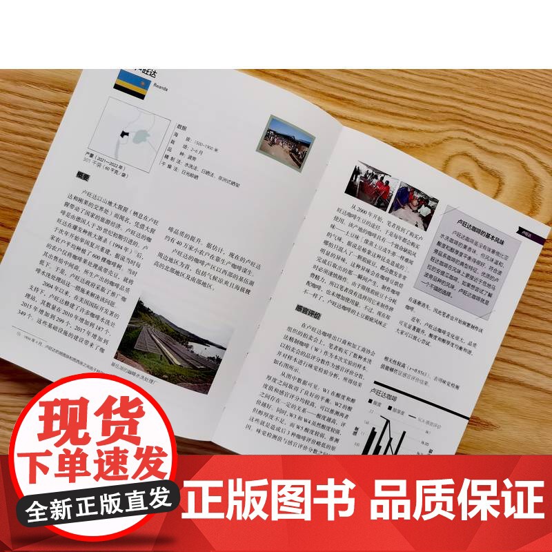 正版 咖啡师课堂 堀口俊英 9787111773924 机械工业出版社 咖啡冲泡法 咖啡入门课 咖啡生活 生活方式高清大图