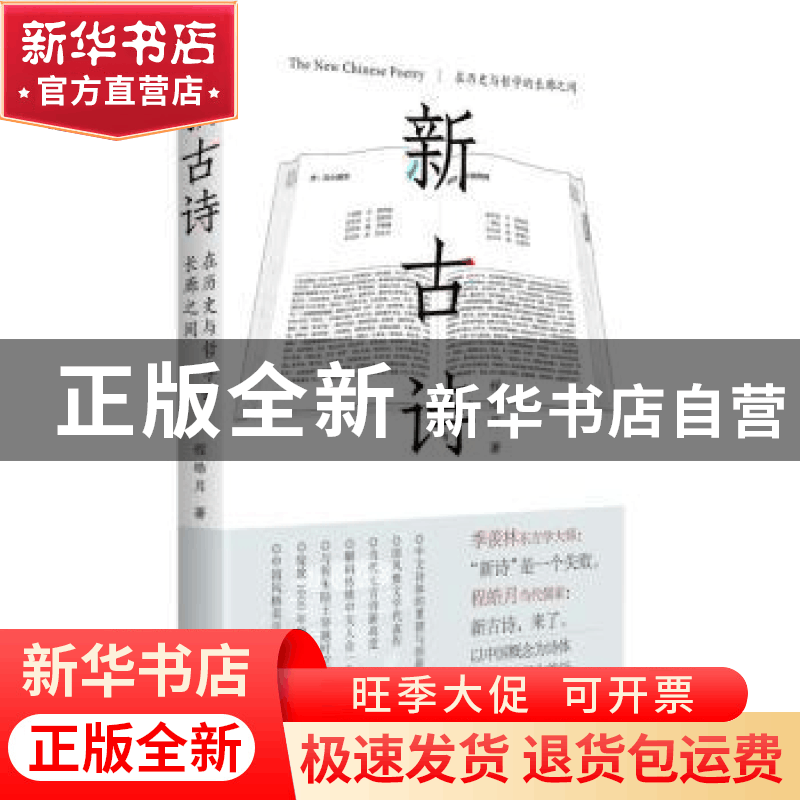 正版 新古诗:在历史与哲学的长廊之间 程皓月著 文津出版社 9787图片