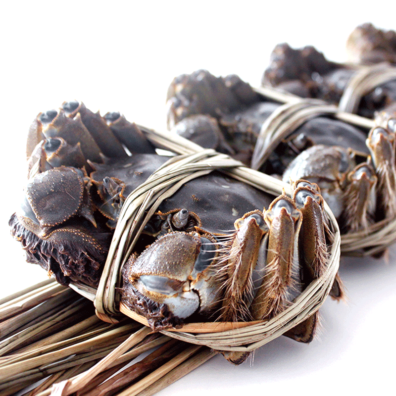 [礼盒]浓鲜时光盘锦河蟹大闸蟹稻田蟹活蟹1388型母蟹3.0两公蟹4.0两各4只共8只螃蟹图片