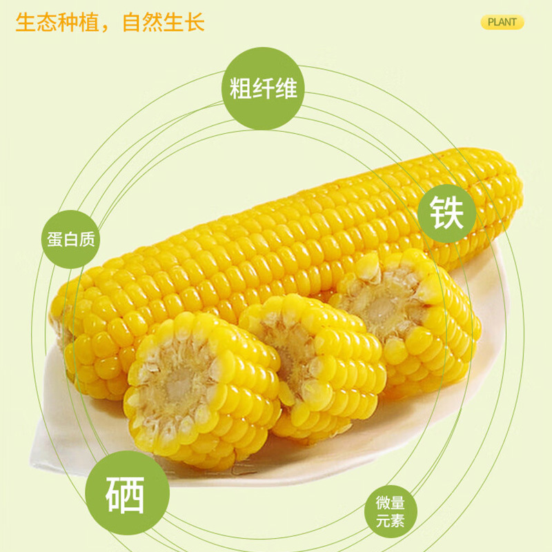 米妹妹糯玉米220g*6穗口感软糯七分甜三分黏五常天然高清大图