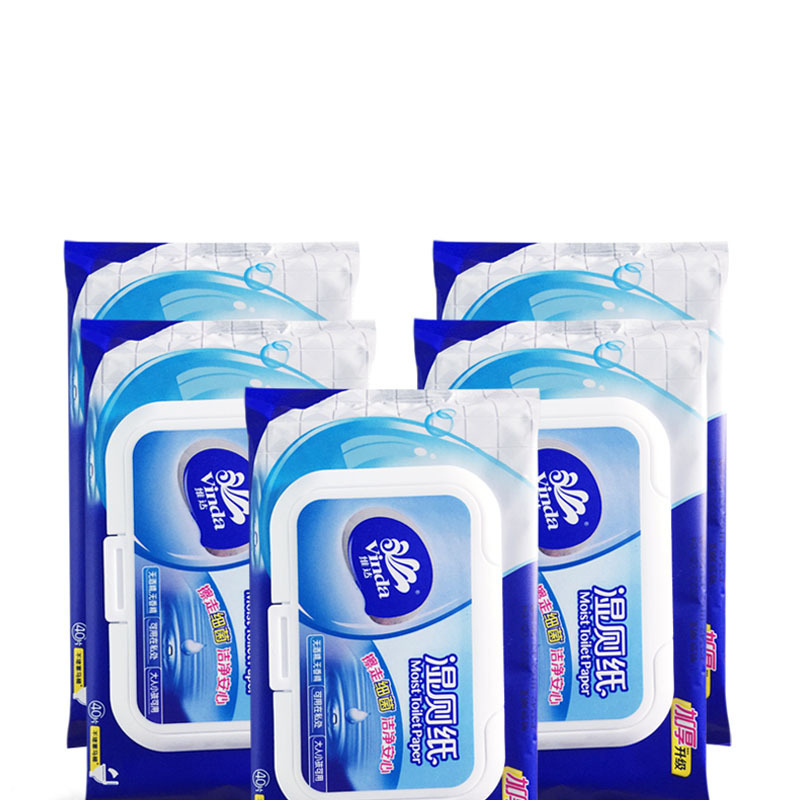 维达(Vinda) 维达湿厕纸家用湿巾清洁阴私处痔疮除菌通用40片10包共400片