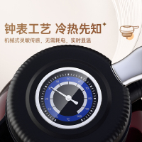 金灶L-173双层保温壶焖茶白茶泡茶壶闷泡壶泡茶专用保温水壶家用