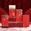 2025中式宫廷风故宫雪红包蛇年创意新年过年压岁钱包袋利是封