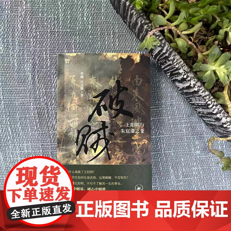 破贼 王阳明与朱宸濠之变 读懂王阳明[附赠价值99元的三联中读精品课程《品读王阳明30讲》]现代文学历史小说故事书正版高清大图