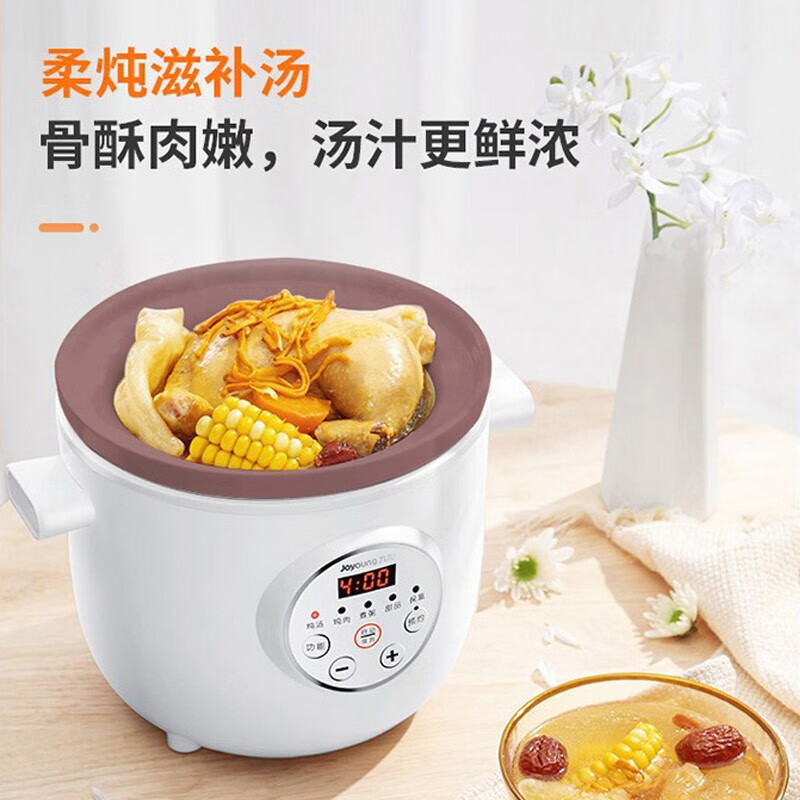 九阳(Joyoung)1.5升容量电炖锅DGD1505AM煲汤锅燕窝养生炖汤煮粥高清大图