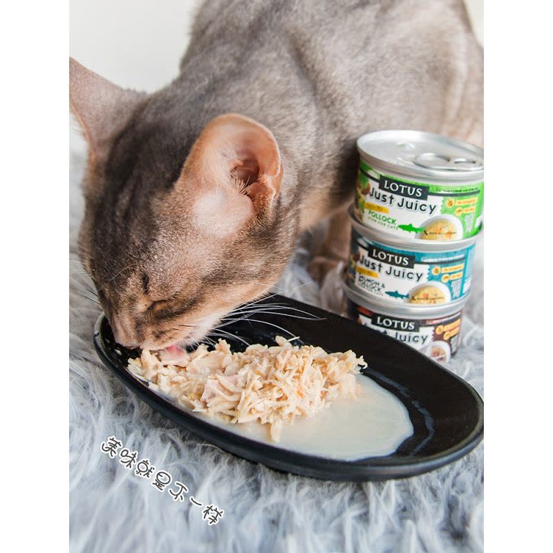 静一美国LOTUS璐特思莲花原汁猫罐头JUSTJUICY无谷猫罐汤罐70g图片