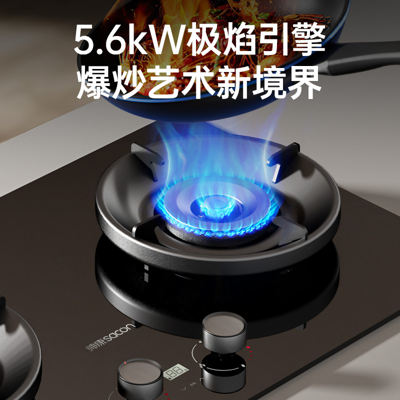 帅康(sacon)3B815燃气灶嵌入式双眼灶5.6kW大火力可调节定时钢化玻璃台嵌两用家用炉具炉灶双灶台式煤气灶天然气