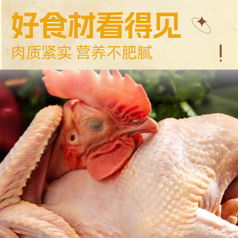 [苏鲜生推荐]三物纪 皖南黄油老母鸡2.6-2.9斤/只 2只装 新鲜现杀冷冻净膛慢养走地鸡高清大图