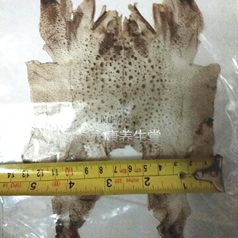 蟾衣大蟾蜍衣 蟾壳 癞蛤蟆衣自然脱落10张店另有蟾皮蟾蜍 如图