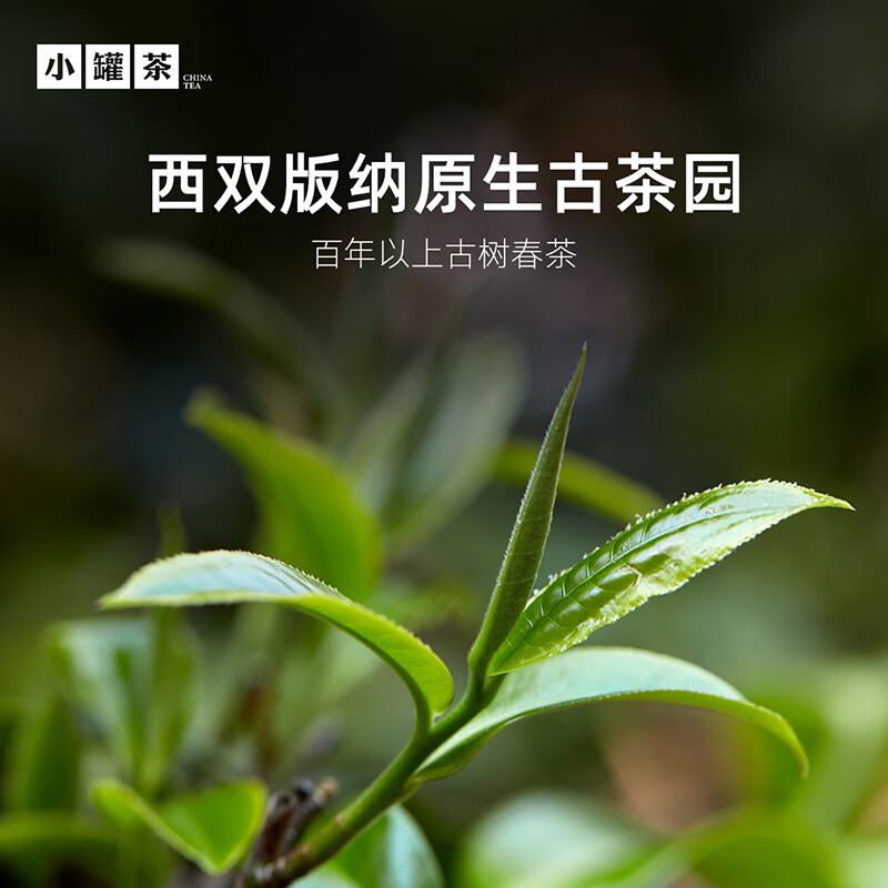 小罐茶 10 罐装普洱熟茶(经典)高清大图