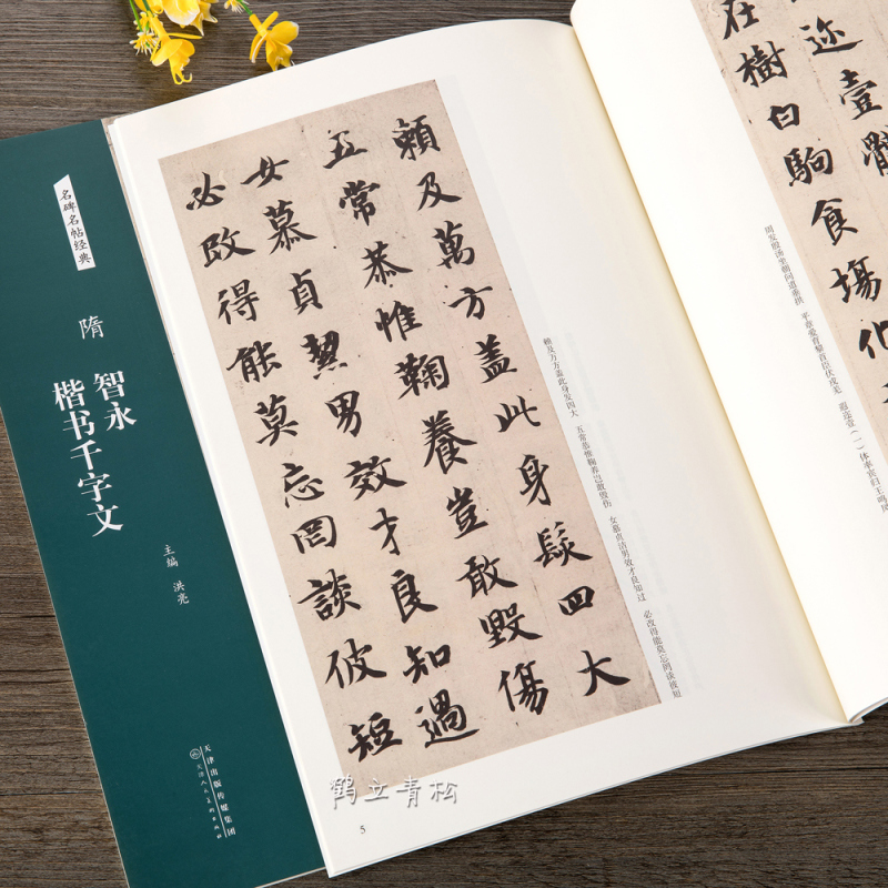 [正版]名碑名帖经典 隋 智永楷书千字文 简体旁注 楷书毛笔书法字帖碑帖