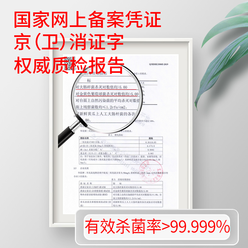 洗得宝二氧化氯泡腾消毒片低味泡腾片1g*100片/瓶杀菌消毒剂消毒液