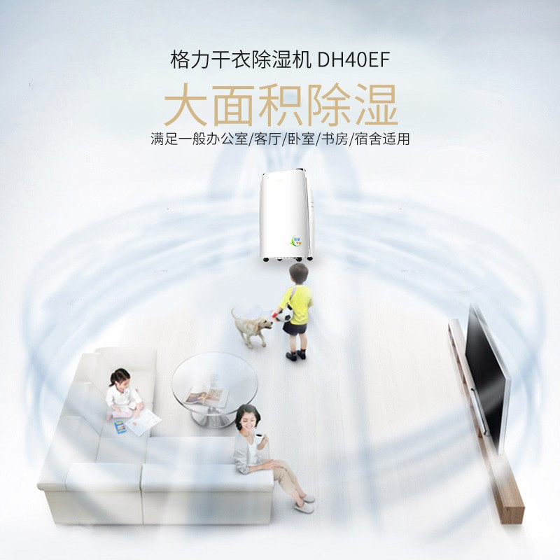 格力( GREE ) 除湿机 DH40EF急速除湿家用抽湿器除湿机41-60㎡微电脑式日除湿20/40升可选/ 20EF高清大图