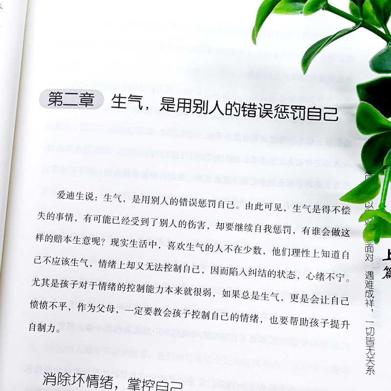 [正版]写给孩子的第一本逆商书 家庭亲子育儿书籍男孩女孩养育书籍培养和提升孩子的逆商 育儿百科 素质教育 培养孩子的自信高清大图