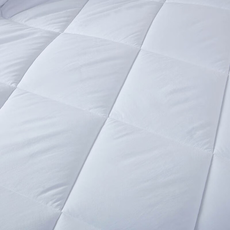 梦洁家纺 被子被芯tg 臻享十孔超柔被1200g 200*230cm/床