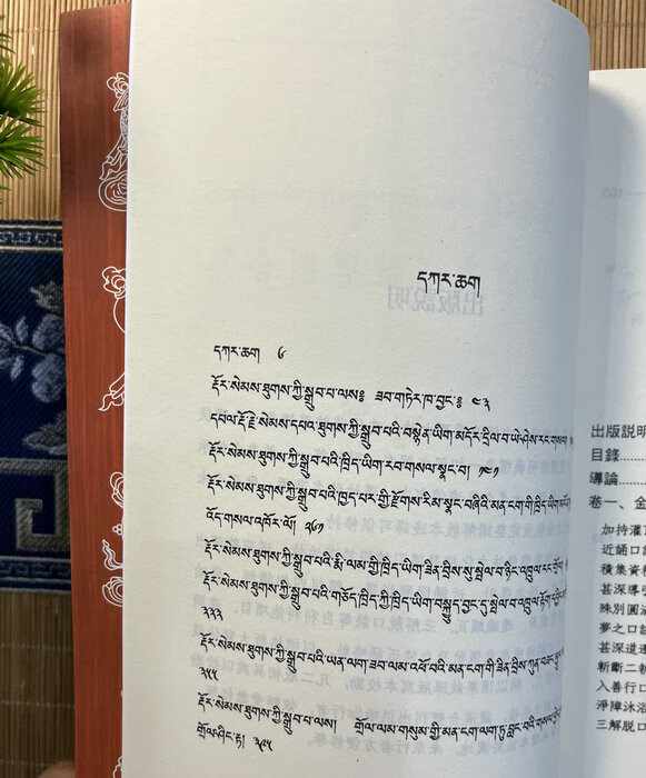 大yuan满金刚萨意成就导引合集 (密宗宁玛派书)高清大图