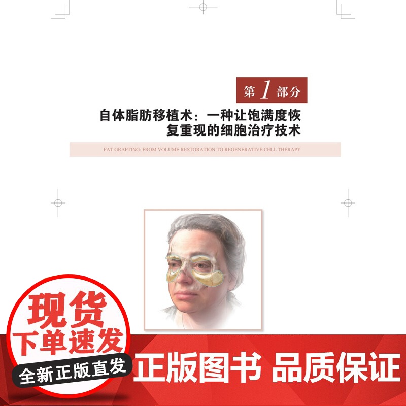 面中部年轻化 整形美容科医师皮肤科医师生理性老化脂肪移植术肉毒毒素和软组织填充技术巴豆油换肤术图文并茂 上海科学技术出版高清大图