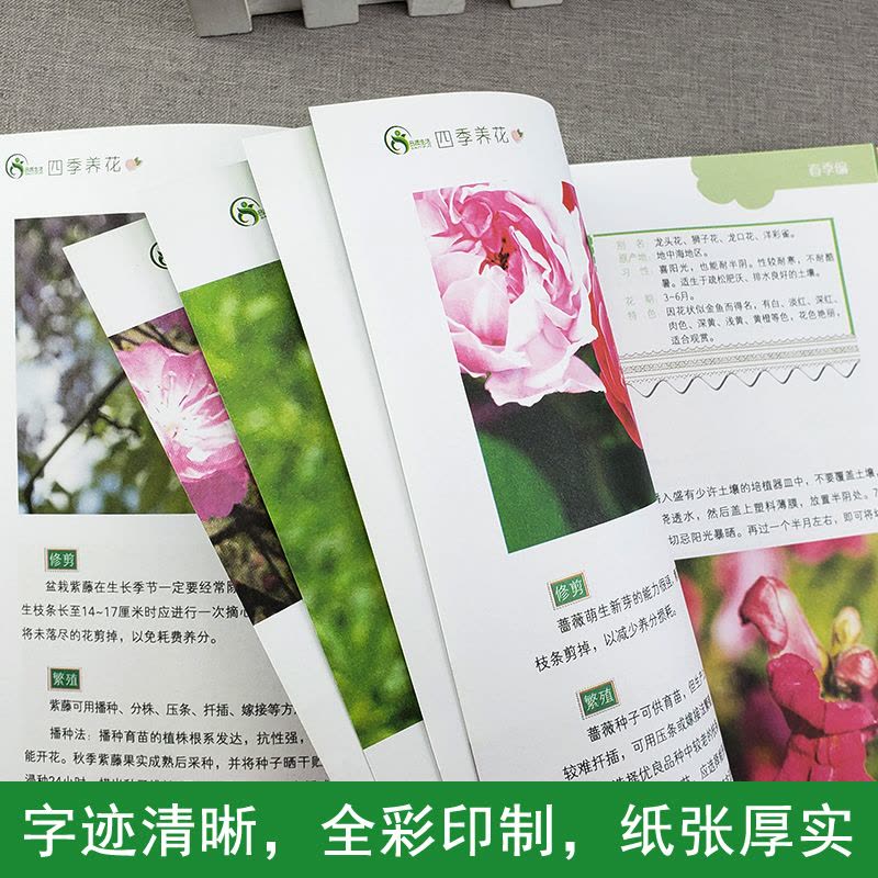 [醉染正版]四季养花书籍 花草大全室内养花书籍盆景入门家庭栽培植物技术多肉植物种植图鉴 新手盆栽圣经 花卉种植养殖园艺书图片