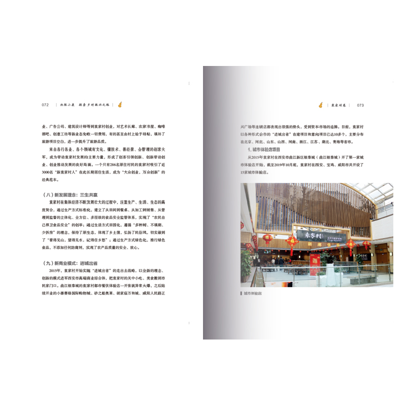 正版新书]决胜小康:探索乡村振兴之路.袁家村卷崔峰,王瑜,千继高清大图