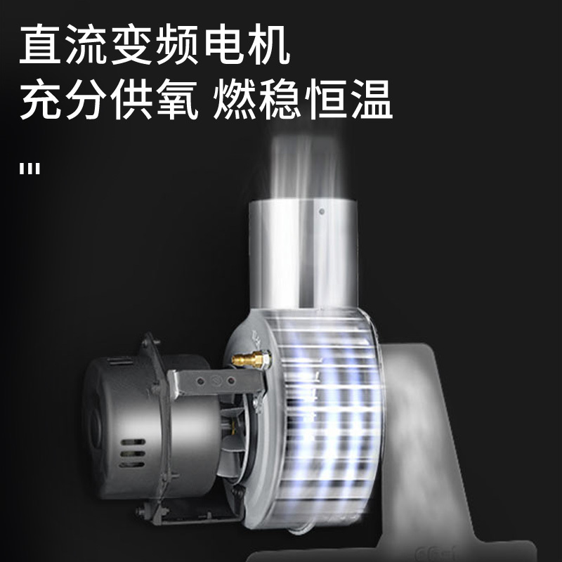 奥克斯燃气热水器家用天然气液化气强排式变频恒温 多重安全防护