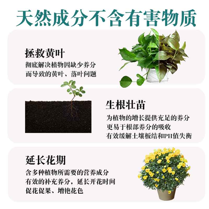 绿萝营养液植物通用型肥料富贵竹发财树花肥盆栽家用水培花卉多肉通用型营养液500ml 4瓶 园艺工具 热销推荐 图片 高清实拍大图 苏宁易购