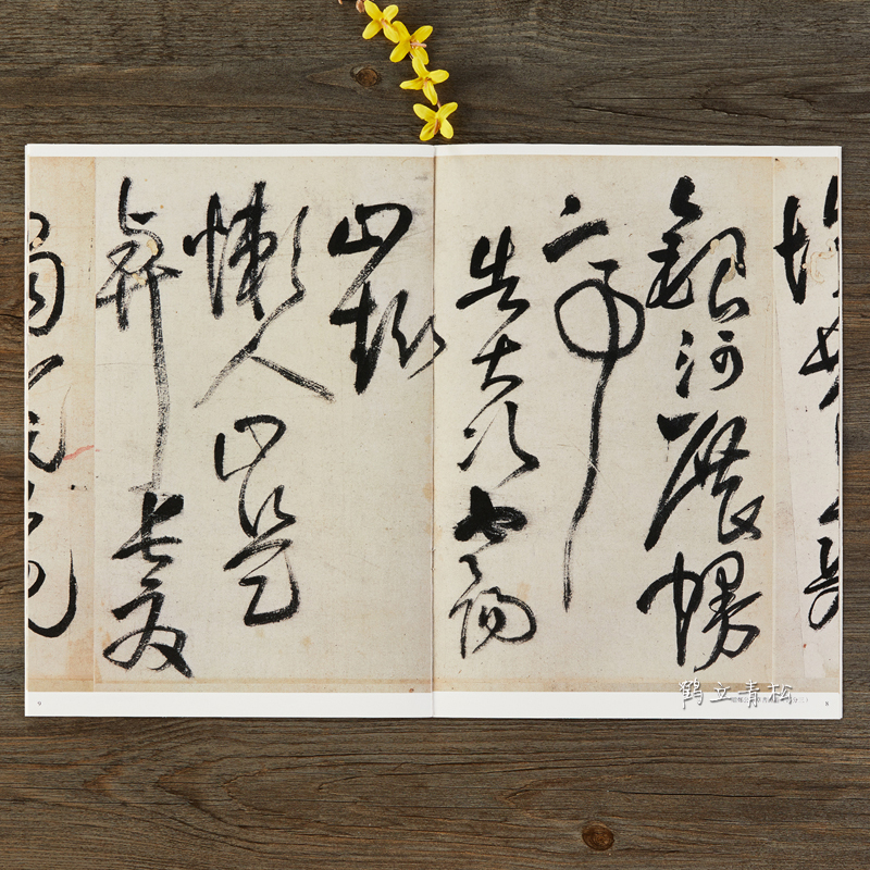 [正版]赠郑公度草书诗卷 王铎草书卷 繁体译文 毛笔字帖书法临摹碑帖古帖墨迹拓本鉴赏丛帖 河南美术出版社